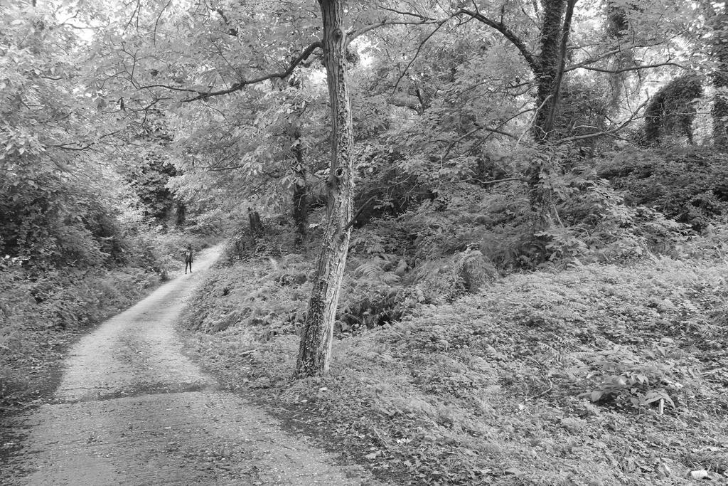 Kalderimi Country House Mouresi Bagian luar foto