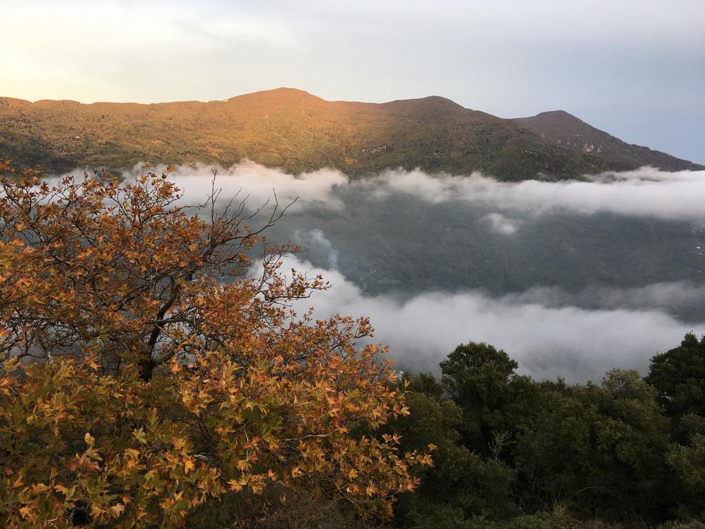 Kalderimi Country House Bed & Breakfast Mouresi Bagian luar foto