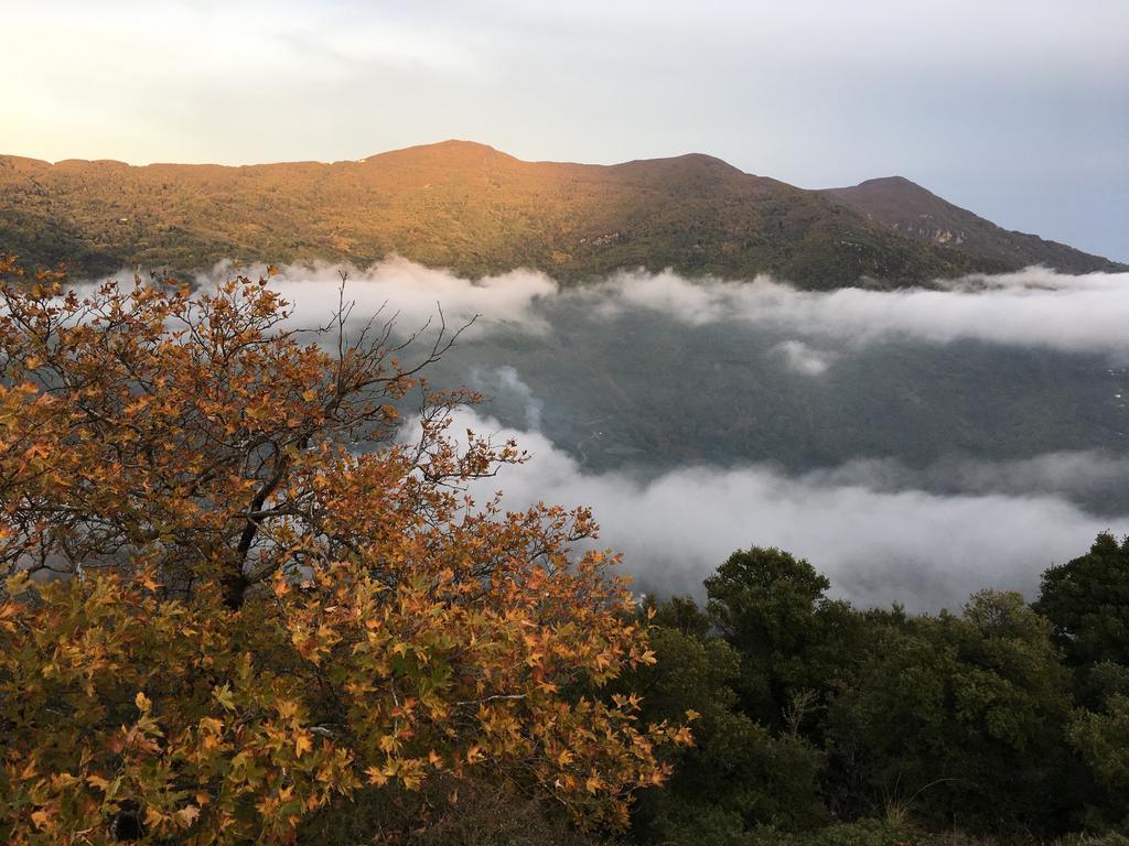 Kalderimi Country House Mouresi Bagian luar foto